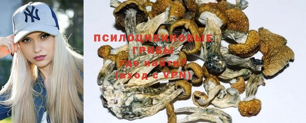 прущие крисы Верхний Тагил