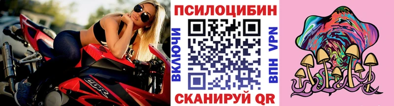 купить   Венёв  Галлюциногенные грибы мицелий 