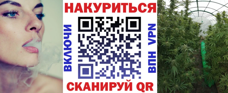 это какой сайт Венёв Бошки марихуана THC 21%